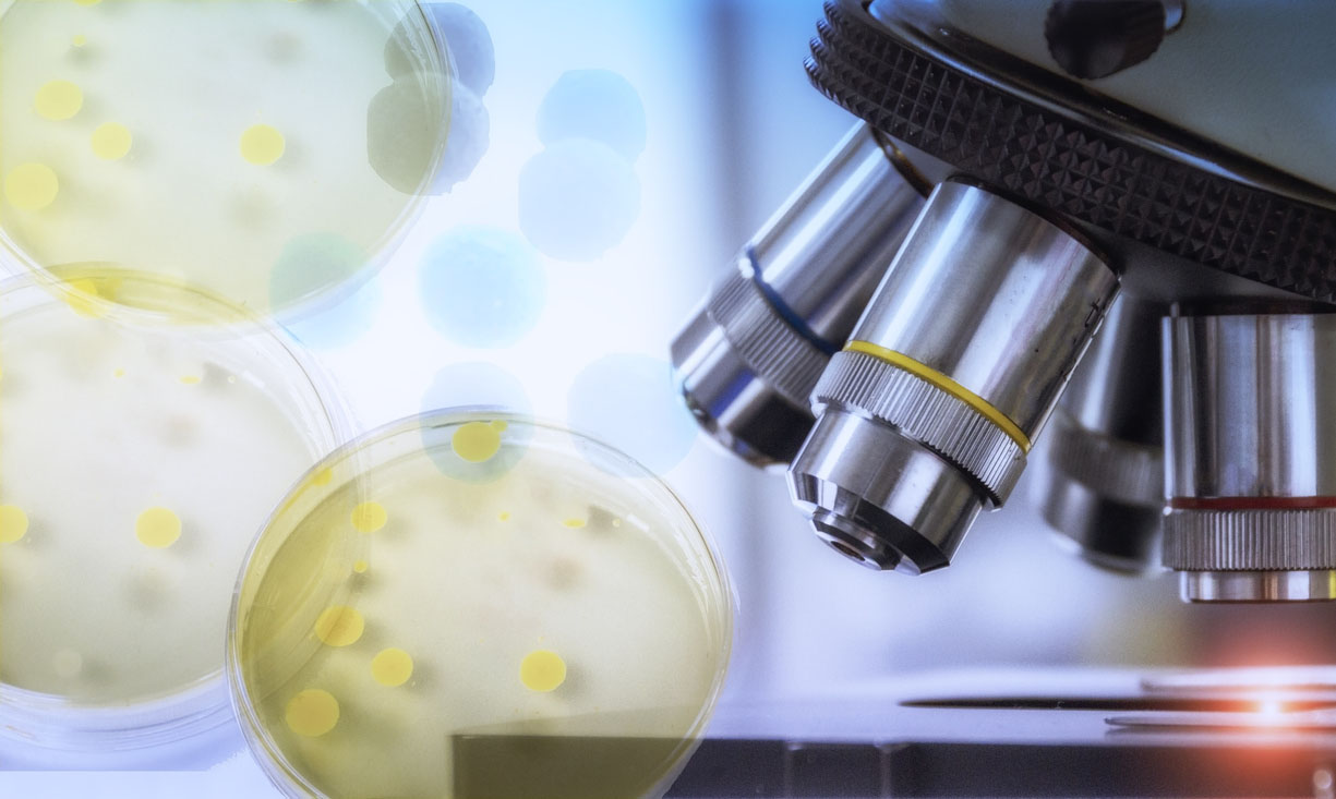 Benefits of Confocal Microscopy in Modern Life Science Applications